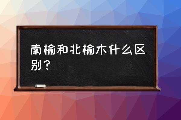 南榆和北榆如何区别（北榆和南榆怎么区分）