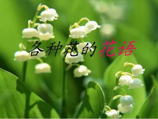 大自然中花的花语（大自然中花的花语是什么）