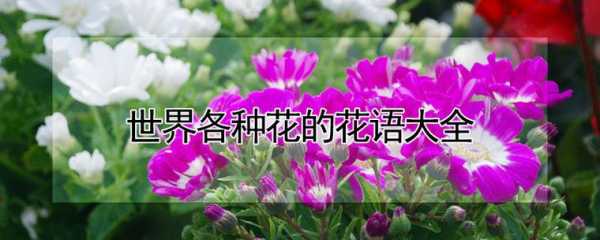 什么花的花语是二（什么花有两种花语）