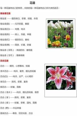 关于毕业花语是什么花的信息