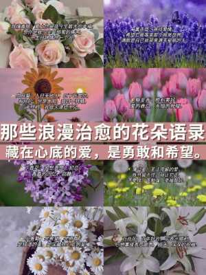 一眼就爱上的花语（一眼就爱上你的诗句）