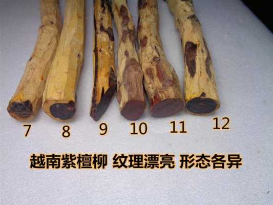 紫檀柳木怎么样（紫檀柳木料）