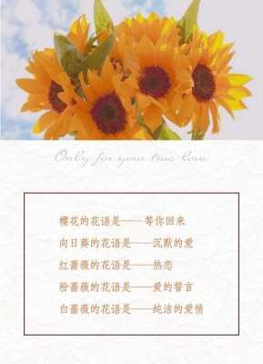 四季花语唯美的句子（四季的花语是什么）