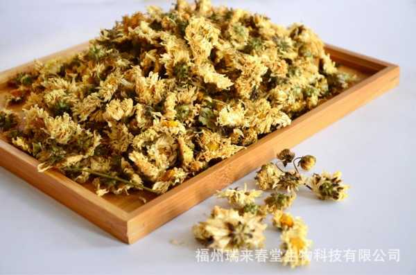 杭菊的花语（杭菊花是什么）