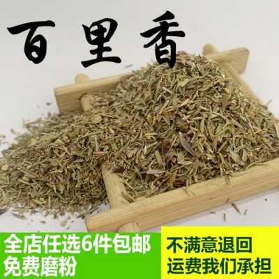 百里香的花语是什么（百里香是什么调料）