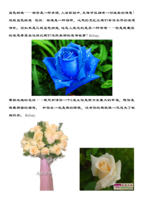 国际花语大全（国际花是什么）