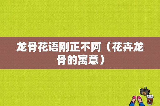 龙骨花语刚正不阿（花卉龙骨的寓意）